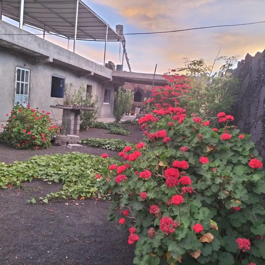 Pensao Repouso Alegre Turismo E Aventura Bed & Breakfast Portela Eksteriør bilde